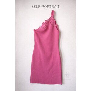 Self-Portrait Pink One Shoulder Ribbed Knit Mini Dress Lace Trim Bodycon Size 4